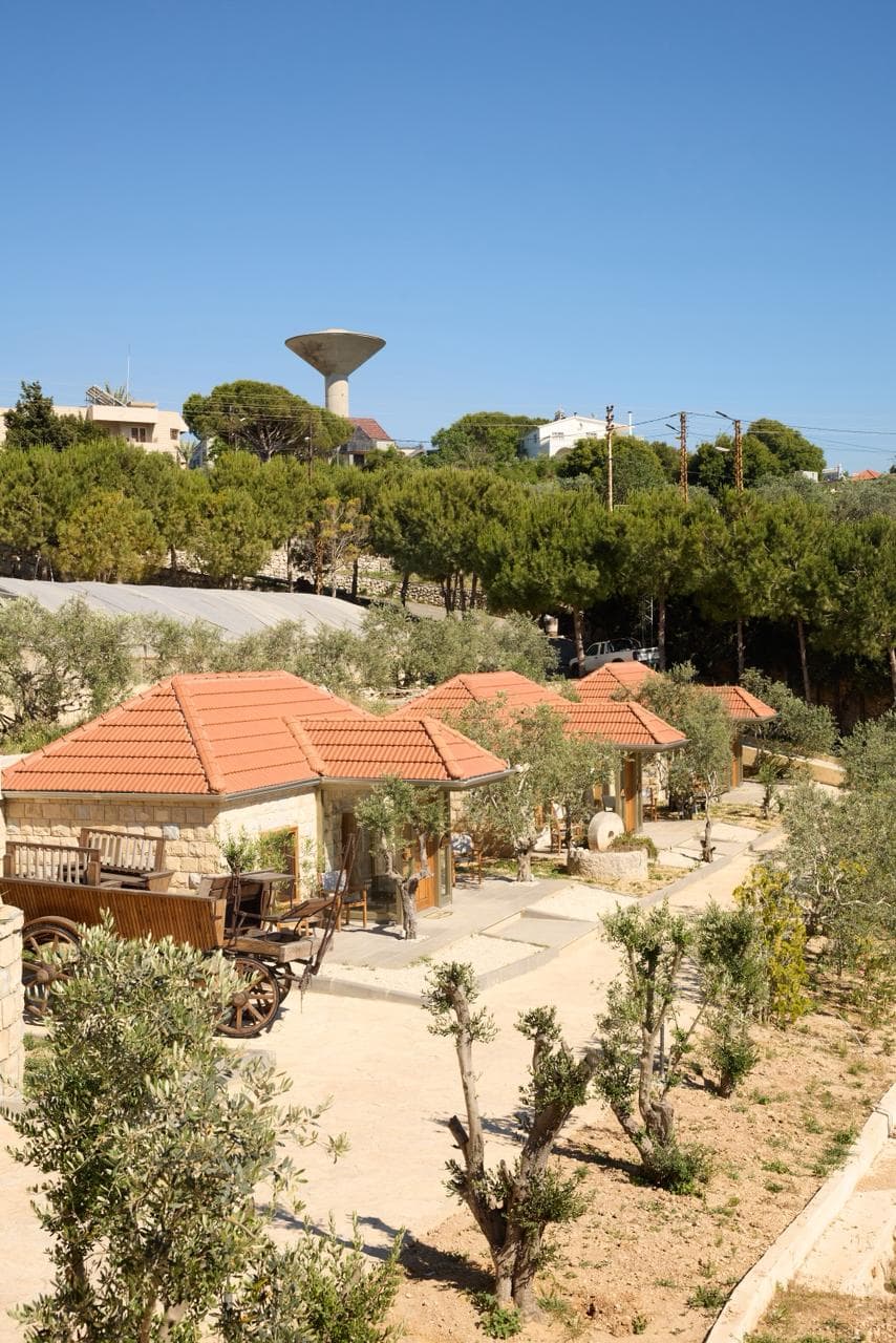 Beit Zeytoun